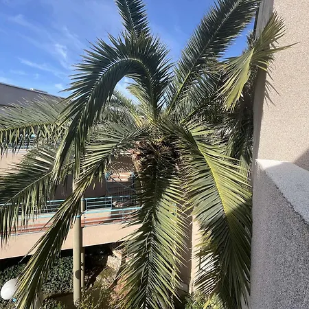 Apartment 2 Pieces Avec Terrasse, A 150m Des Plages - - Fr-1-226b-192 Cavalaire-sur-Mer